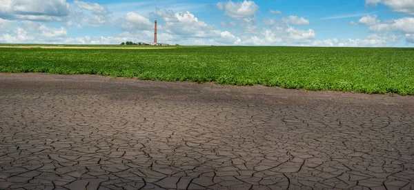 arable land dries up after flooding due to heavy rainfall, green soybean field and factory with chimney in the distance, ecology, climate change