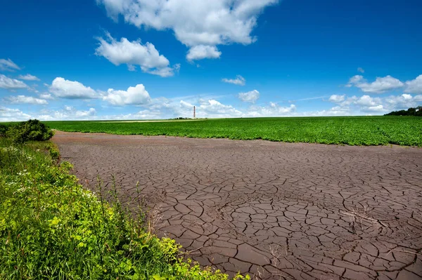 field edge where soil dries up after flooding due to heavy rainfall and green soybean field and factory with chimney on horizon, ecology, climate change