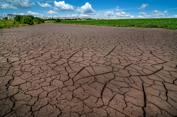 stock image Cracked soil after flooding of field with green soybeans outside the city, wide angle