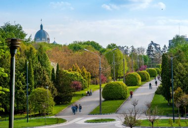 TERNOPIL, UKRAINE - 09 Mayıs 2020 - Ternopil 'deki Rönesans Parkı' nda parktaki güzel sokaklar. Yeşil çalıların arasında çiçek ağaçları..