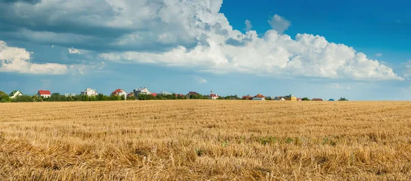 美丽的麦田全景 干枯的麦茬 美丽的云彩 地平线上的村庄和房屋 — 图库照片