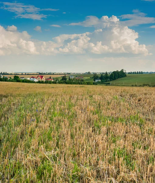 稻谷田里的稻草茬 前景广阔 在蓝天和云彩的映衬下 农业丘陵的景观 — 图库照片