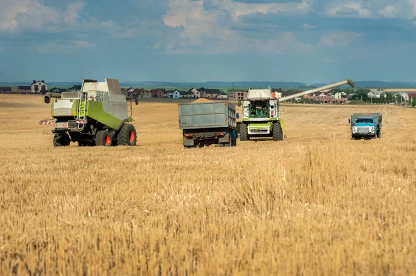 畑での穀物の収穫 組み合わせとトラック 収穫時間 — ストック写真
