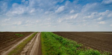 Ukrayna 'nın panoramik manzarasında, kara toprağın yakınındaki toprak fild yol, verimli tarlalar