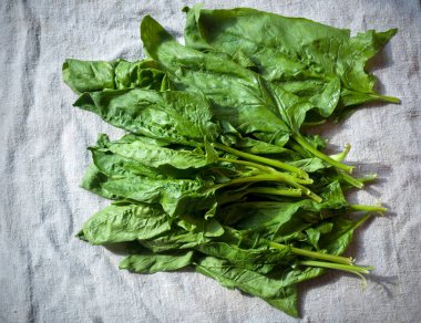 Üstü örtülü taze ıspanak yaprakları. Yıkandı ve yemek için hazırlandı.