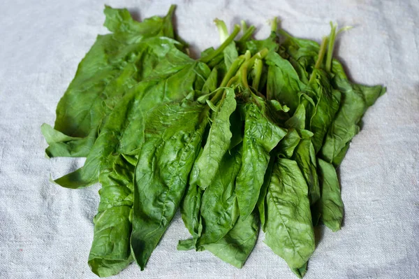 Taze, yıkanmış ıspanak yaprakları.