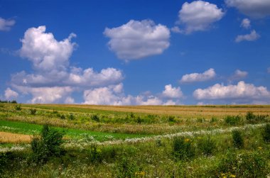 Yama alanlarına bakan kır çiçekleriyle dolu renkli bir çayır, yazları mavi gökyüzünün altındaki tepe çizgileri