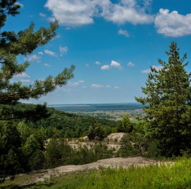 ... kumdan bir uçurumun tepesindeki mesafeyi ve yayladan bir ormanın kenarını görüyor.