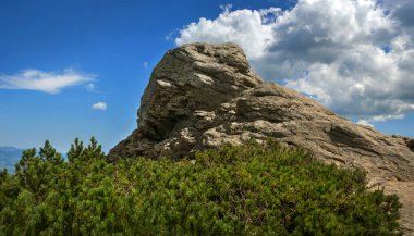 Dağ Kulağı Taşı. Great Rock, Carpathian Dağları, Karadağ Sıradağları, Karpatlar, Ukrayna