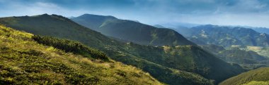 Karpatlar, Ukrayna 'daki Chornohirsky tepesinin panoramik manzarası, yaz otları, alp bitkileri.