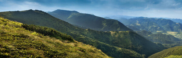 panoramic view of tourist route, summer herbs, alpine vegetation of the Chornohirsky ridge in Carpathians, Ukraine.