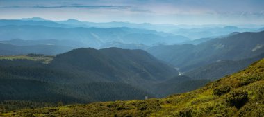 Ukrayna 'nın Karpat Dağları' ndaki Chornohirsky Sırtı 'nın kayalık çıkıntılarının panoramik görüntüsü