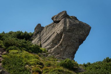 Karpatlar 'da kayalar, Chornohirsky sırtı, Smotrych yakınlarında kulak taşı.