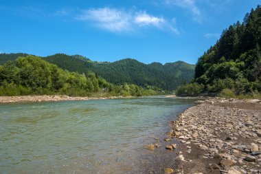 Beyaz Cheremosh, Karpatlar 'da bir nehir, Usteryky, Verkhovyna, Ukrayna