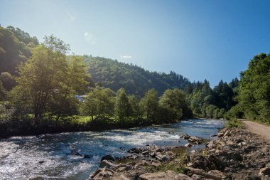 Dağ nehri ve Karpat bölgesinin manzaraları. Mavi-yeşil su, kayalık nehir kıyısı, gökyüzünde bulutlarla güneşli bir gün.