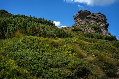 Chornohora, sıradağ, dağ çıkıntısı Vukhaty Kamin, Kulak Taşı, Dzembronia Köyü, Karpatya Dağları, Ukrayna