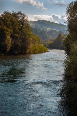 Sonbaharda dağ nehri ve ağaçlar, Karpatlar 'ın güzel manzarası.