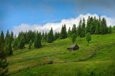 güzel dağ manzarası, yamaçlar ve çayırlar, ahşap binalar, çitler ve ladin ağaçları, Karpatlar, Ukrayna