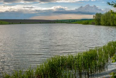 Akşamları güzel bir göl manzarası, sazlıklarla süslenmiş huş ağacı ve bulutlarla kaplı güzel bir gökyüzü.