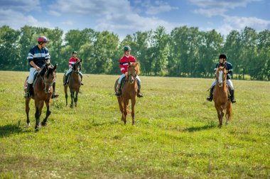 TERNOPİL REJİON, YAGILNYTSYA, UKRAINE - 18 Ağustos 2013 - Dört jokey tarlada safkan ata biniyor