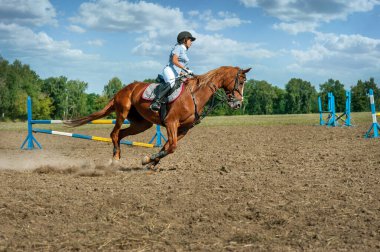 TERNOPIL REGION, Yagilnytsia, UKRAINE - 18 Ağustos 2013 - Yagilnytsia 'da Binicilik Yarışması