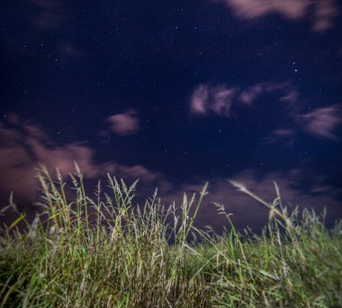 Yıldızlı bir gece gökyüzünün altında çimenler ve ince bulutlar yüzüyor. Yıldızların parladığı bir fotoğraf huzur, doğa ve uzayın enginliğini yansıtır..