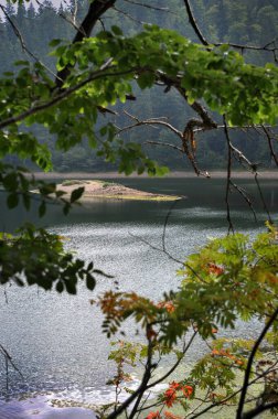 Carpathian yüksek irtifa gölü Synevyr ağaç tepeleri ve sığ bir su adası boyunca. Ukrayna 'nın dağ ekosistemlerindeki düşük su seviyeleri sırasında mevsimsel değişiklikler.