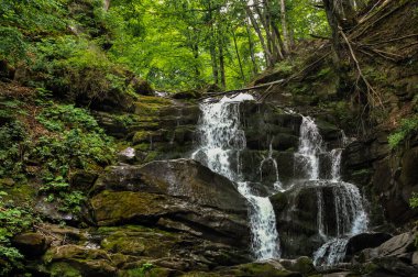 Kayalardaki su jetleri, ormandaki Kamianetskyi Şelalesi, Synevyr, Transcarpathia, Ukrayna
