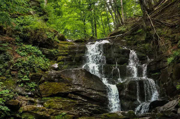 Kayalardaki su jetleri, ormandaki Kamianetskyi Şelalesi, Synevyr, Transcarpathia, Ukrayna