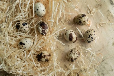 Küçük benekli bıldırcın yumurtaları samanların arasında rastgele dağılmış, yukarıdan çekilmiş bir fotoğraf.