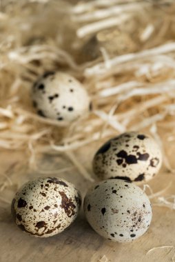 Süslü samanla çevrili ahşap bir yüzeyde bıldırcın yumurtaları ile sakin bir hayat