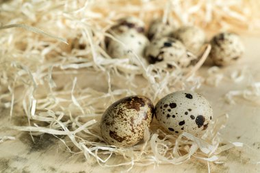 Saman üzerine saçılmış bıldırcın yumurtaları, kırsal yaşam