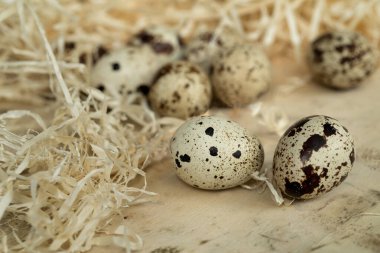 Bıldırcın yumurtalarını samanla çevrili bir tahtaya serpiştirin.