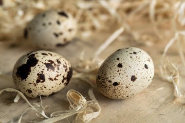 Benekli bir yaşam, tahta bir yüzey ve saman üzerinde bıldırcın yumurtaları