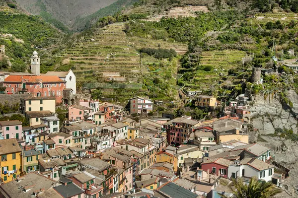 Vernazza, Cinque Terre, teraslı üzüm bağlarının arasına yerleşmiş parlak renkli evler, kale, kule, yüksek kilise