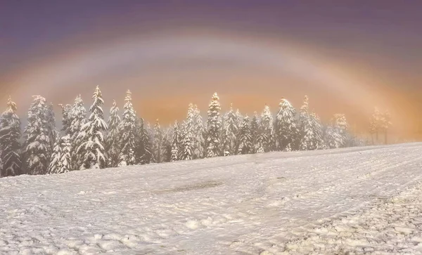 Hazy sunset over the frozen Mountain in winter. Solar halo, The sun\'s rays make their way through the crowns of trees. Winter landscape.