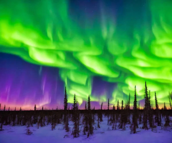 Aurora Borealis Yellowknife Aurora Borealis Northern Lights Yellowknife Northwest Territories — Stock Photo, Image