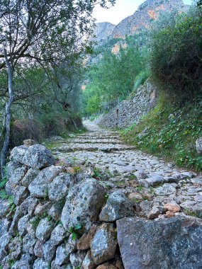 Soller kasabasındaki doğa ve dağlar