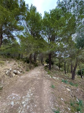 Soller kasabasındaki doğa ve dağlar