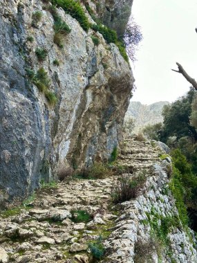 Dağlarda yürüyüş için kayalık patika