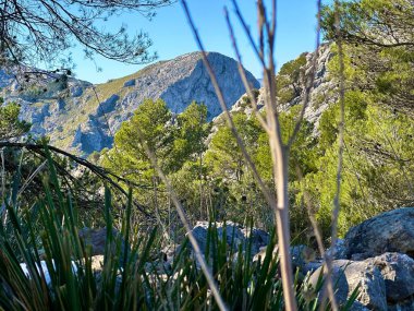 Soller kasabasındaki doğa ve dağlar