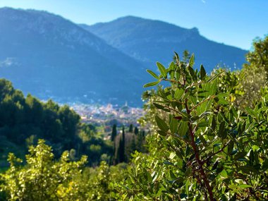 Soller kasabasındaki doğa ve dağlar