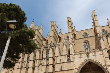 Palma de Mallorca İspanya 'da altyapı