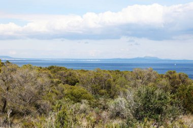 Akdeniz Mallorca İspanya 'sında yaz mevsimi