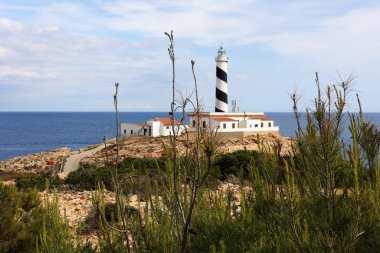 Palma de Mallorca İspanya 'da güneşli bir günde Akdeniz manzarası