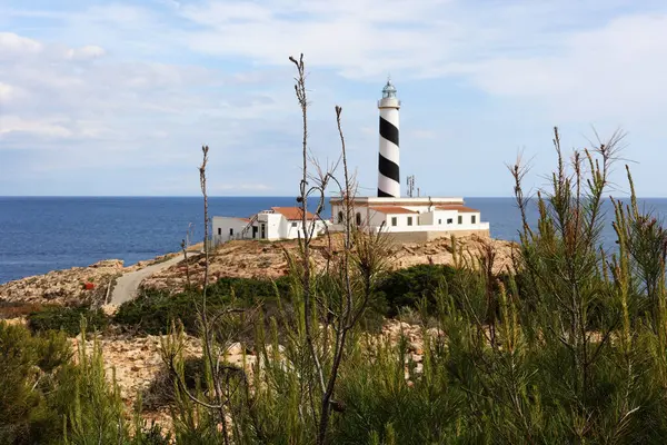 Palma de Mallorca İspanya 'da güneşli bir günde Akdeniz manzarası