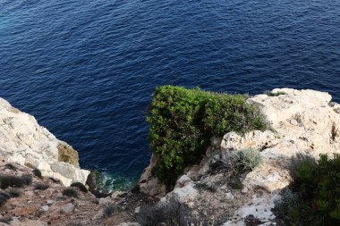 Palma de Mallorca İspanya 'da güneşli bir günde Akdeniz manzarası