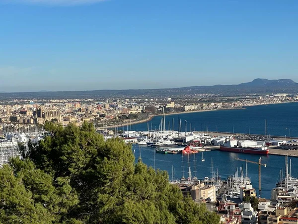 Dia Ensolarado Palma Mallorca Espanha Com Céu Azul Verão — Fotografia de Stock