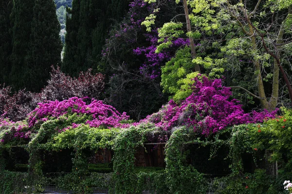 Ogrody Fontannami Starymi Budowlami Stylu Gotyckim Hiszpania — Zdjęcie stockowe
