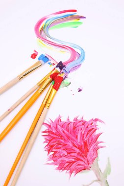 Brushes with paint of various colors red blue yellow green purple on a white background